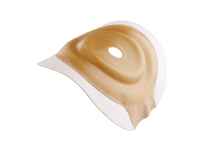 Champs protecteurs Hollister - CeraPlus